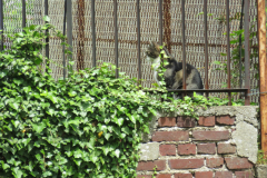 IMG_1943